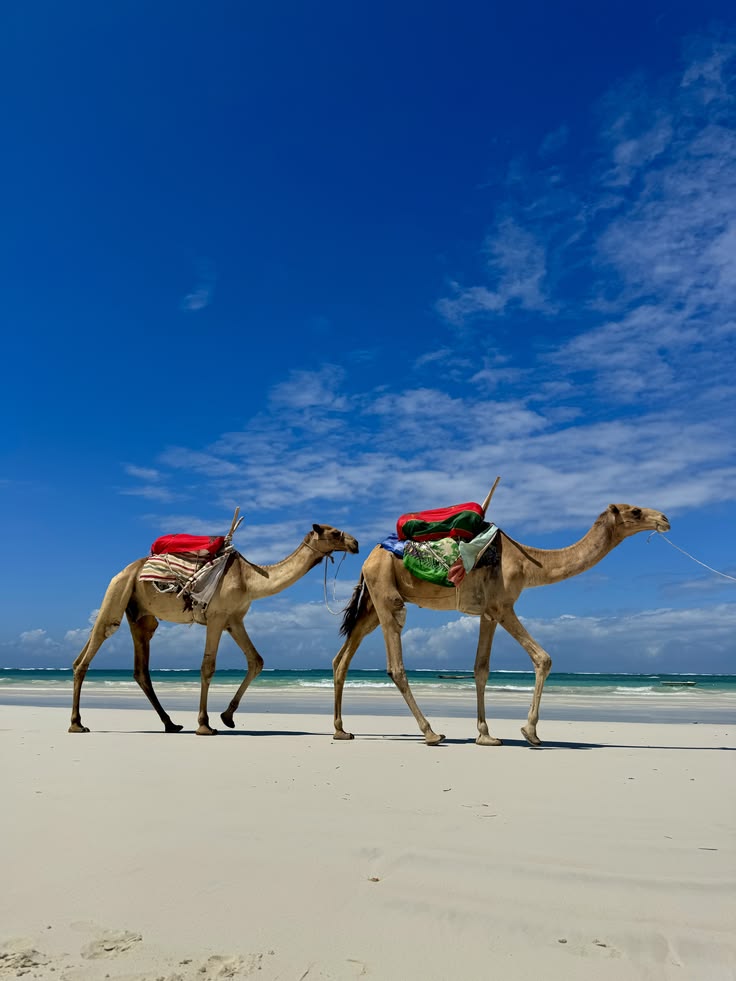 Diani Beach